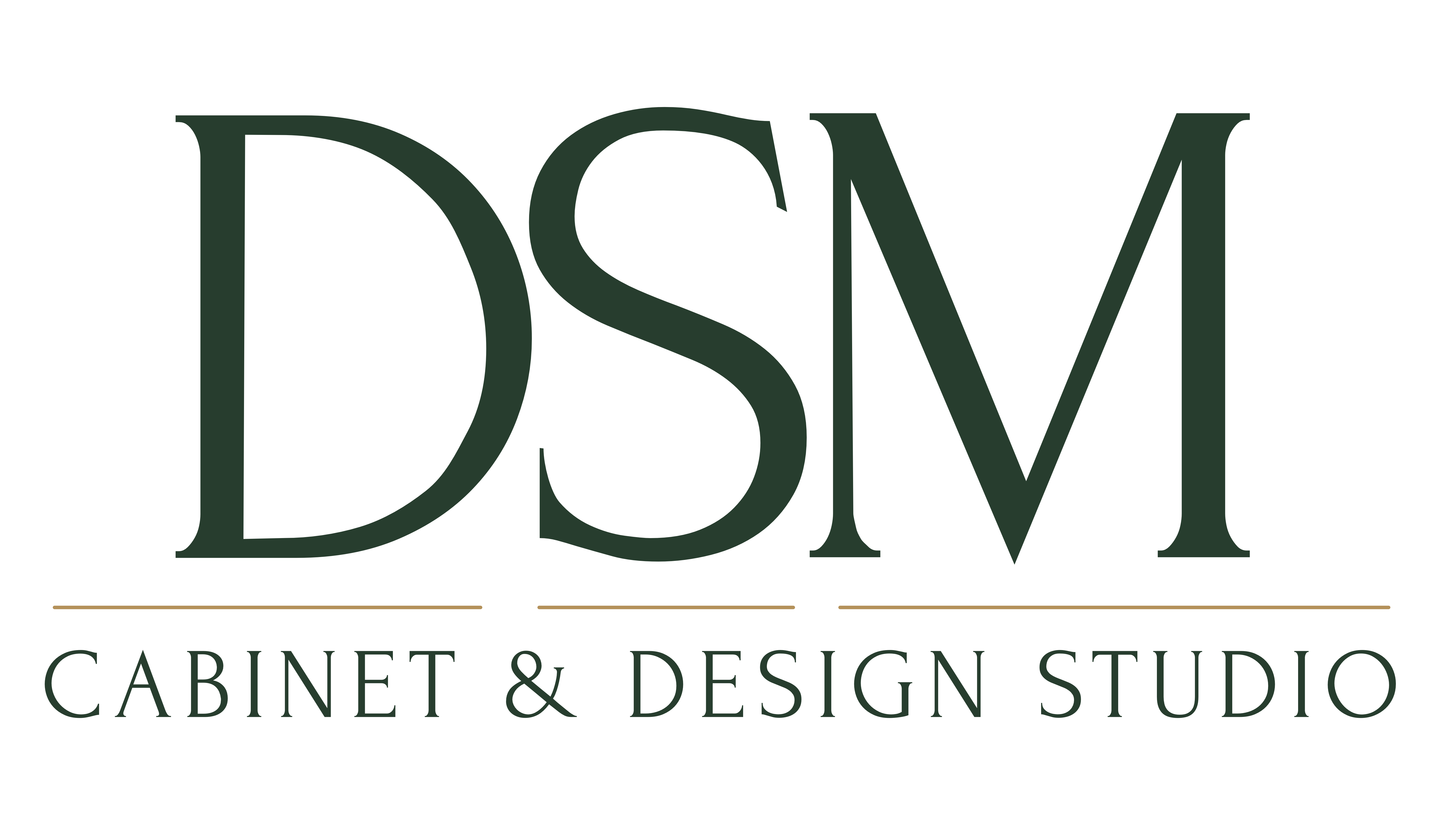 DSM Cabinet and Design Studio